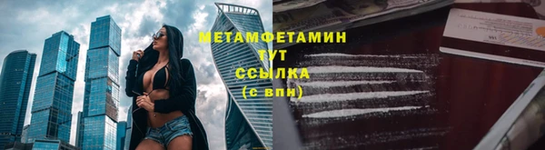 молекула духа Вяземский