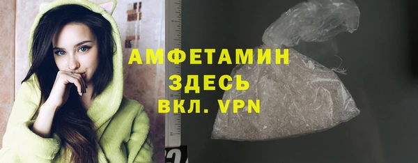 молекула духа Вяземский