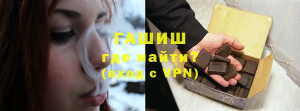 молекула духа Вяземский