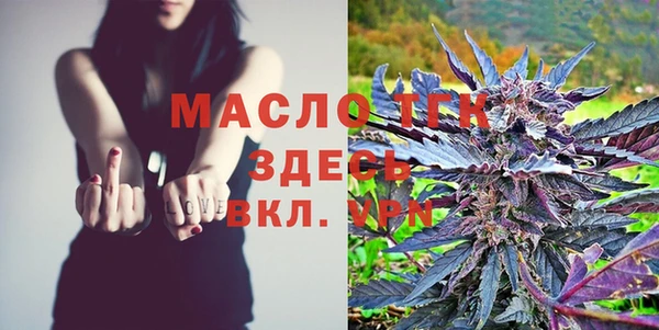 молекула духа Вяземский