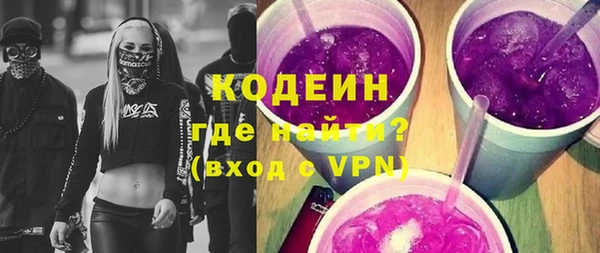 молекула духа Вяземский