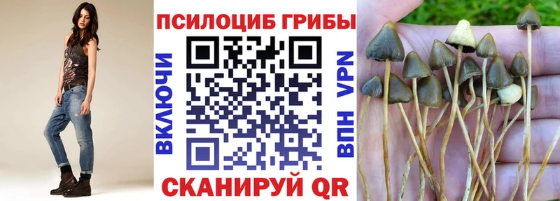 даркнет сайт  Зарайск  Галлюциногенные грибы Cubensis 