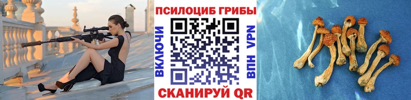 Галлюциногенные грибы Psilocybe Зарайск